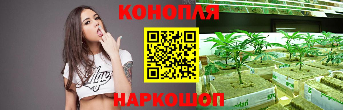 Марихуана тримм  Вход с VPN  Белая Калитва  Марихуана Amnesia 
